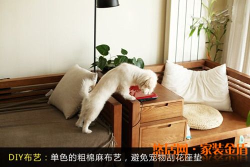 家有愛寵裝修小竅門