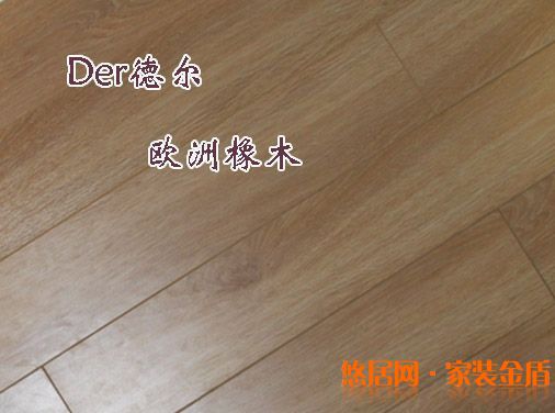 德爾地板歐洲橡木1