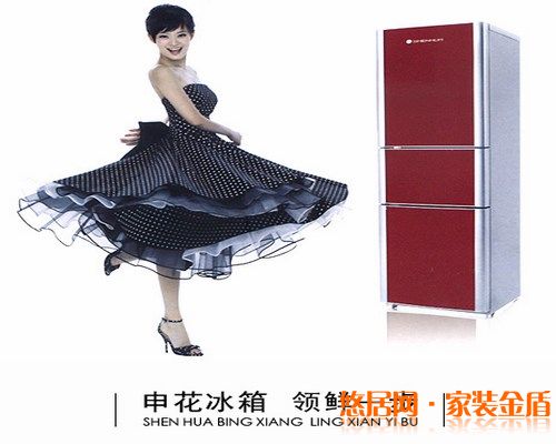 申花冰箱