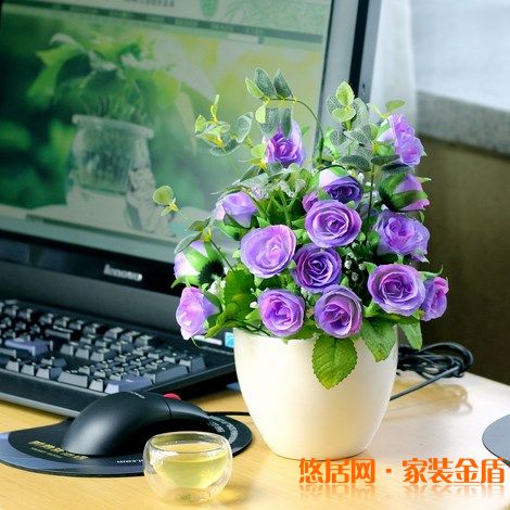 室內(nèi)盆栽選擇有哪些講究？ 